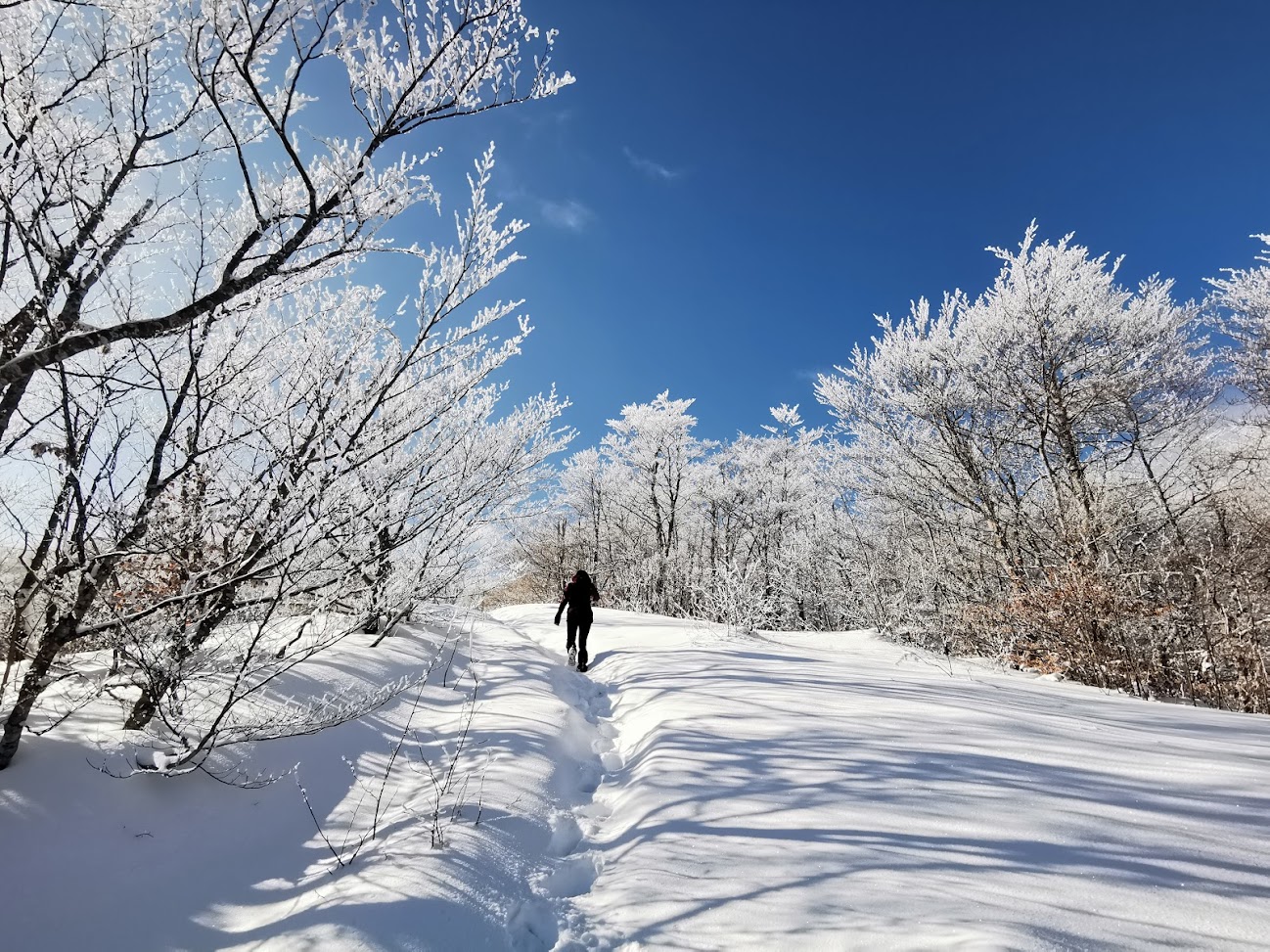 woman hiking in the snow